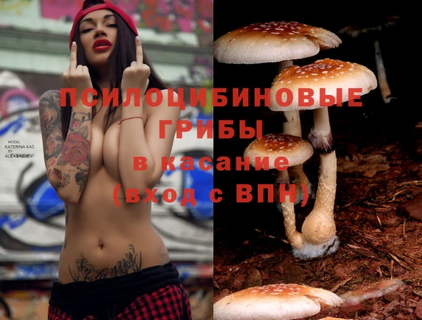 герыч Алексин
