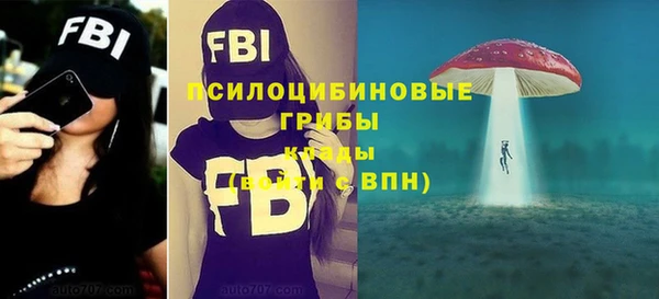 герыч Алексин