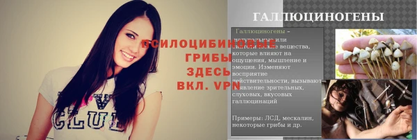 герыч Алексин