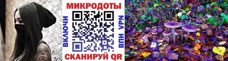 наркота  Сураж  Галлюциногенные грибы мицелий 